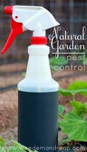 Like many home gardeners, i started growing my own fruits and vegetables in part to avoid the toxic chemicals used on most commercial produce. For My Garden Organic Gardening Pest Control Garden Pest Control Garden Pests