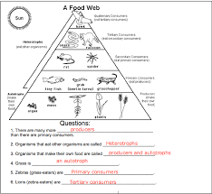 Examples of food chain in a sentence, how to use it. Food Web Worksheet Answer Key Promotiontablecovers