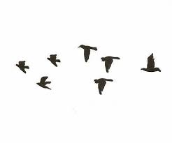 Birds Flying In The Sky Cartoon Https Encrypted Tbn0 Gstatic Com Images Q Tbn 3aand9gcs8x0op2thkomtydf8peuympjhvoqswen6via Usqp Cau