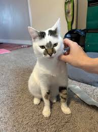 Yuna has some thoughts about the weather. She has a cold and is very  snotty. She is blaming me and taking her anger out