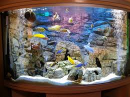 3d Background Made To Measure For A Corner Tank And Set Of Rocks Matching The Background African Cichlid Aquarium Aquarium Live Wallpaper Fish Tank Decorations