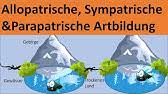 'reproduktive isolation' und synonyme zu openthesaurus hinzufügen. Isolation Artbildung Evolutionsfaktoren 5 Gehe Auf Simpleclub De Go Werde Einserschuler Youtube
