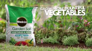 We did not find results for: How To Get A Bigger Harvest Using Miracle Gro For Vegetables Herbs For In Ground Gardening Youtube