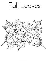How to edit fall photos for the best color. Maple Tree Fall Leaves In Fall Leaf Coloring Page Netart