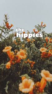 Hippie Wallpaper Vintage 60s Aesthetic Flowers Flower Child Flower Aesthetic Aesthetic Wallpapers Orange Aesthetic
