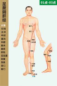 瑜伽理療十二經脈循行  瑜伽美体图片