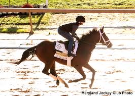 Rombauer wins the 2021 preakness, surging past medina. Https Www Paulickreport Com News The Biz New Jersey Lawmakers Cut Only 25 Percent Of Purse Subsidy For 2021 Racing Season 2020 09 29t21 23 16 00 00 Https Www Paulickreport Com Wp Content Uploads 2020 07 Monmouth Park 2020 Opening Day