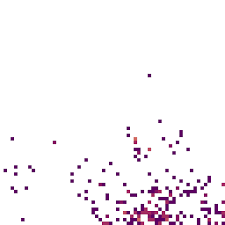 Image result for Tectaria angelicifolia