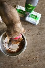 Instead, try an electrostatic or microfiber dry mop, which will trap particles. 7 Dog Shedding Home Remedies Keep Your House Fur Free Lolly Jane