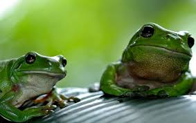 Wie en hoe ga jij iemand beet nemen? 1 Aprilgrap Lastig In Coronatijd Andere Dingen Aan Het Hoofd Linda Nl