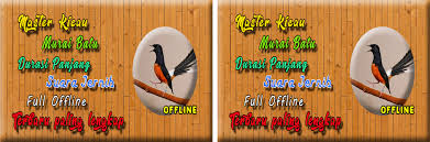 Gambar burung murai batu animasi gambar burung via gambarburung.com. Master Murai Batu Medan Mp3 Apk Download For Android Latest Version 2 0 0 Com Neoutronapps Master Kicau Burung Muraibatu Juara Gacor
