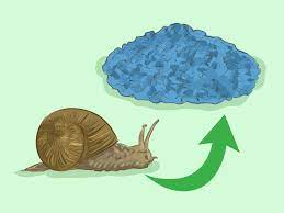 There are several ways to keep snails and slugs out of your garden naturally and economically. 4 Ways To Get Rid Of Garden Snails Wikihow