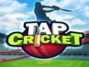 Real online cricket game is one of the best online sports gamecategory that user like to play and many are mobile device friendly cricket games. Cricket Games Play Cricket Games On Free Online Games