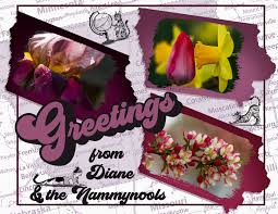 We're family owned and operated, and committed. Life Is A Gift Love Is The Way Home Of The Bellingwood Series Nammynools