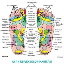 Saglik Mutluluk Guzellik Panosundaki Pin