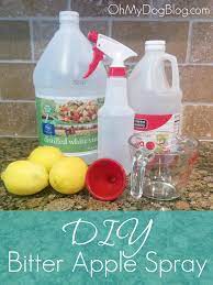 1 Ratio Of White Vinegar To Apple Cider Vinegar Using The One Cup Measuring Cup I Poured In 2 3 Cup Of The White V Dog Spray Dog Chewing Spray Diy Dog Stuff