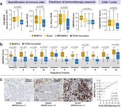 Did you know that of the new cases of female breast cancer reported in malaysia in 2003, 64% of these cases were women between the ages of 40 to 60 years old? The Molecular Landscape Of Asian Breast Cancers Reveals Clinically Relevant Population Specific Differences Biorxiv