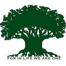 Disney Animal Kingdom Tree Silhouette