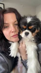 My husband says Gomez kind of looks like Predator lol #cavalierkingcharles  #cavalierkingcharlesspaniel #cavaliersoftiktok #cavalierpuppy #puppy #ckcs