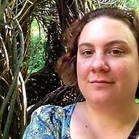 Over een zee van ijs by William Sarabande