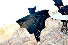 Fledermaus hexer zauberer umhang selbst genaeht. Fledermaus Kostum Kreativliste De