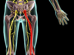 Braceability.com has been visited by 10k+ users in the past month Sciatica 9 Stretches And Exercises That Can Ease Pain Silversneakers