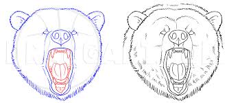 How to draw a bear. How To Draw Grizzly Bears Step By Step Drawing Guide By Makangeni Dragoart Com Bear Drawing Guided Drawing Drawing Lessons For Kids