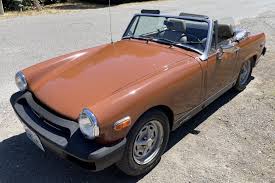 Image result for Russet 1979 MG