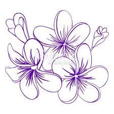 Pin On Ilustracion Botanica