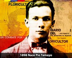 Alida Ramirez (@ramirezalida)