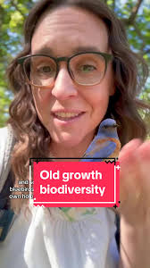 🌳 Young oaks are important (we need that next generation!), but there are  certain things old trees do best. 🐦 One of those things is providing  habitat for more bird species, especially birds known as ...