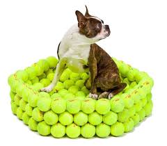 Sometimes finding large beds for dogs can be challenging. Novelty Dog Beds Ideas On Foter