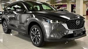 Image result for Chateau Grey 1965 Mazda