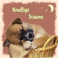 Morgengrüße smiley liebe tagesgruß freitag sprüche gute nacht lustig sprüche guten morgen lustig witzige bilder sprüche wochenende lustig. á… Susse Traume Bilder Susse Traume Gb Pics Gbpicsonline
