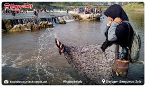 Waduk tempuran merupakan waduk yang sangat vital bagi masyarakat blora. Sewa Alphard Blora 2021 Sewa Mobil Mewah Blora Happy Group