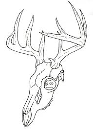 Let's clarify some things to make sure our drawing of a deer is as realistic as it can possibly be. Pin On Art