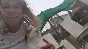 Transporting wooden enclosure for kittens to Puerto Angel?