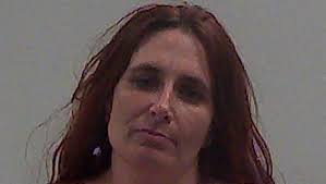 Dealing heroin, burglary result in 4-year jail sentence