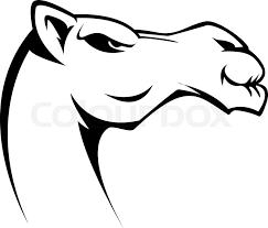 Dr mike buckley, an author of the paper from the university of manchester, said: Camel Symbol Illustration Stock Vector Colourbox