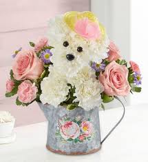Maybe you would like to learn more about one of these? 176435 Precious Pup In Beaufort Sc Carolina Floral Design
