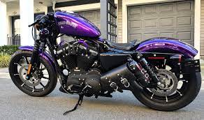 Sportster Harley Sportster Bobber Purple Motorcycle