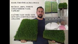 Arazide Otlatamadigi Hayvanlari Icin Topraksiz Yem Uretti Youtube