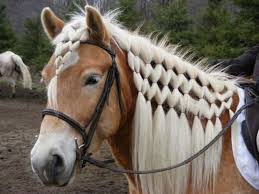 To make the braid pop like the braid below, you'll be braiding under instead of over with each twist. 10 Smartest Horse Mane Braiding Ideas Hairstylecamp