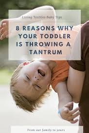 8 Reasons Why Your Toddler Is Throwing A Temper Tantrum Temper Tantrums Tantrums Toddler Tantrums