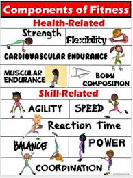 What Is Fitness This Colorful Components Of Fitness Poster Clearly Identifies The 5 Key Health Related And 6 Key Skill Health Fitness Health Adolescent Health
