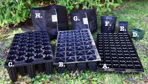 Includes 50 trays with 21 cells in each tray (1050 cells total). Plant Oregon