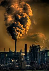Image result for global warming photos