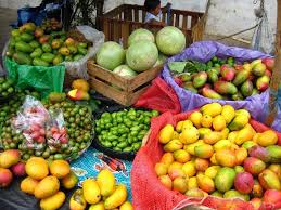 De hecho, puede reptar, por eso se dice comúnmente que camina. Variedad De Frutas En El Salvador