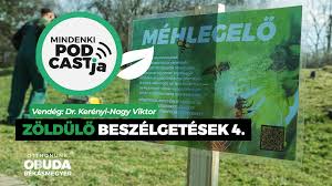 Nagy viktor urológiai szakrendelésén a vizeletürítési panaszok, kőbetegségek, és férfi mindkét nem esetében az urológiai ultrahang vizsgálat nagy mértékben hozzájárul a tünetmentes elváltozások. Dr Kerenyi Nagy Viktor Obuda Hu
