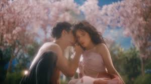 Check spelling or type a new query. Shawn Mendes Reacts To Camila Cabello S Love Interest In Living Proof Music Video Who S This Guy Entertainment Tonight
